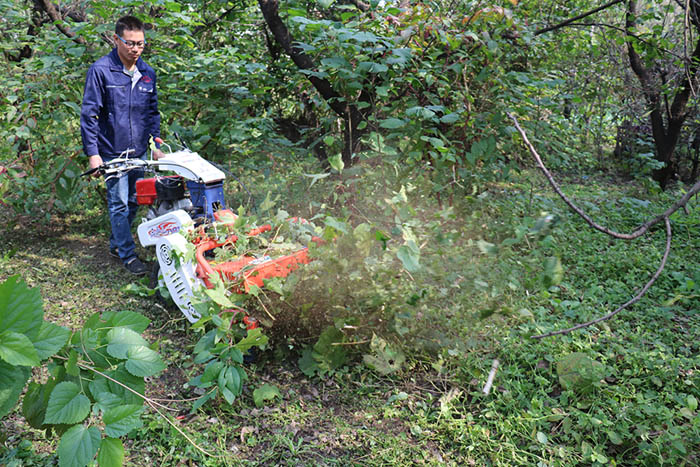 碎枝除草机-碎枝除草演示